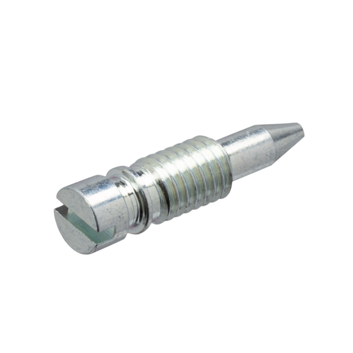 DRAIN SCREW