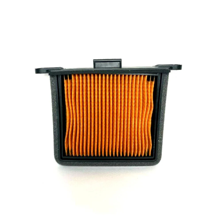 AIR FILTER,LHS - oro filtras