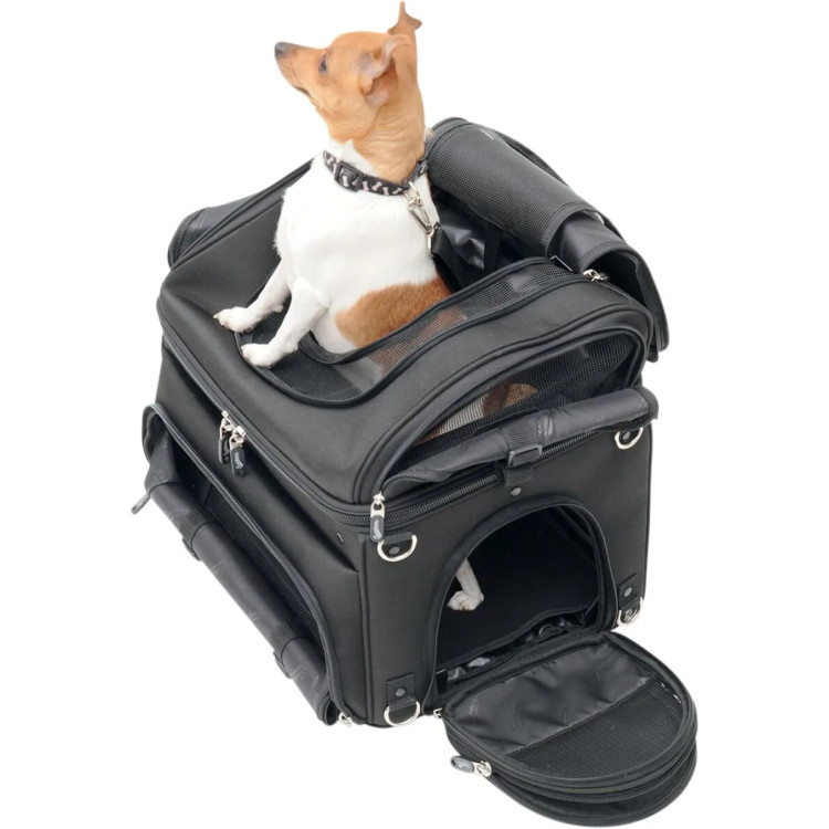 PET VOYAGER PC3200C