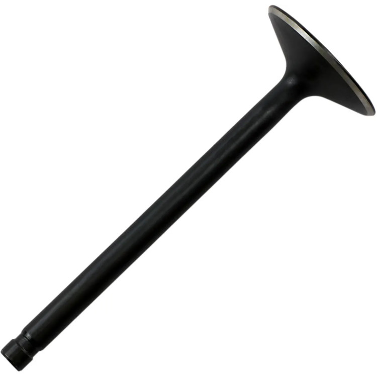 NITR INT VAL 86-03 XL 883