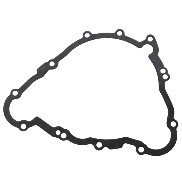 GASKET  ALTERNATOR COVER - tarpinė